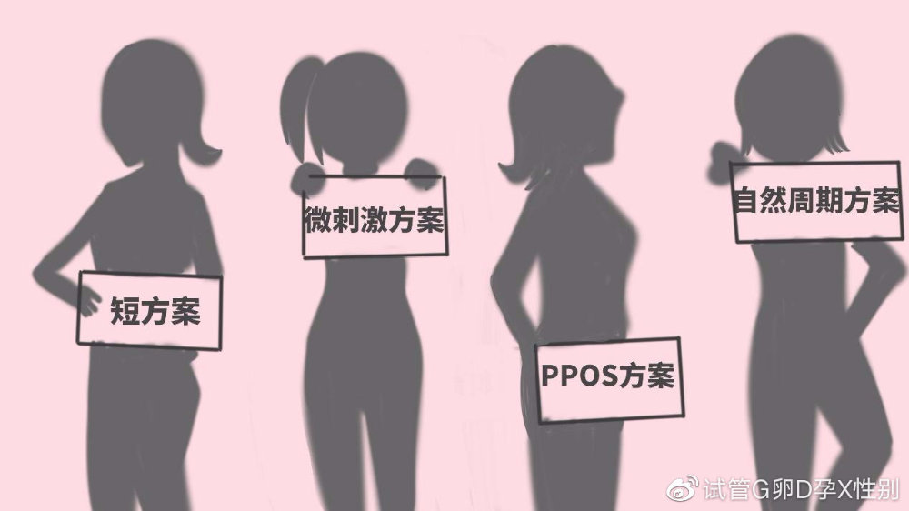 赠卵试管婴儿成功率多少还选上海九洲-九洲赠卵试管婴儿医院
