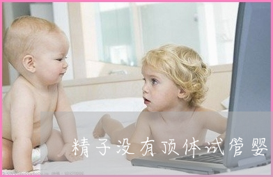 需要怎样的护理？供卵试管婴儿和正常婴儿？