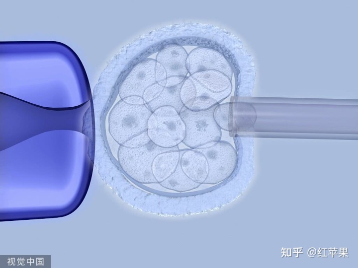 供卵做试管婴儿失败还需要收费吗