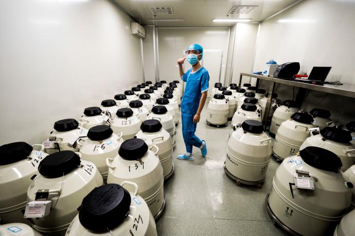 在上海，一个供卵试管婴儿周期需要多长时间？包括每个阶段的时间安排