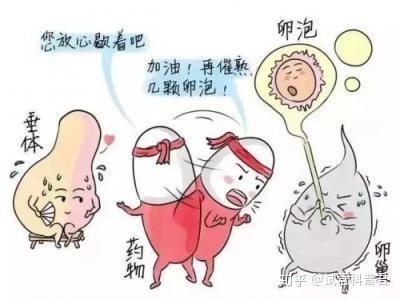 子宫小可以借卵做试管三代代怀吗？为什么会出现小子宫？