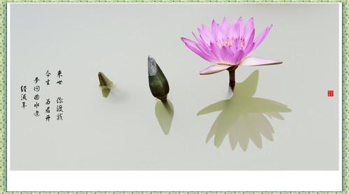 乌鲁木齐市妇幼保健院的做借卵试管代怀机构费用是5万吗？