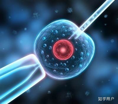 谁可以接受捐赠卵子的供卵赠卵试管代生