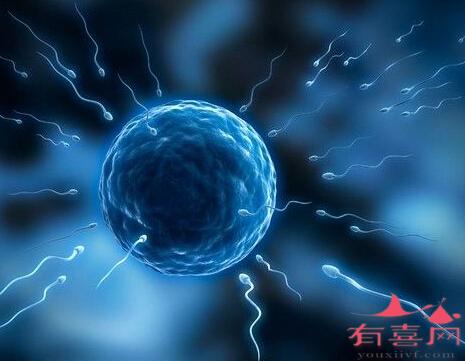 上海新华医院三代做供卵试管过程是怎样的