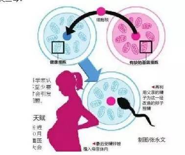 上海供卵机构上海专业