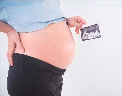 上海大学附属生殖医院借卵试管婴儿技术怎么样