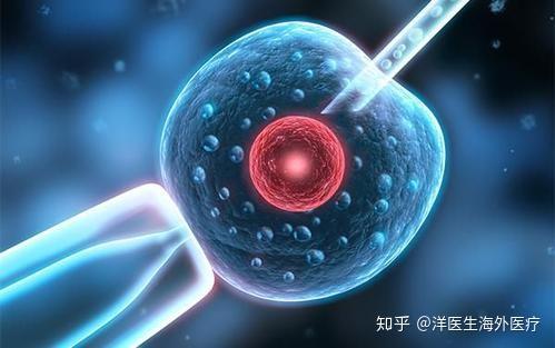 二代供卵试管婴儿的费用上海真实经历