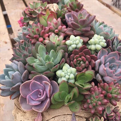 上海301医院做借卵试管婴儿