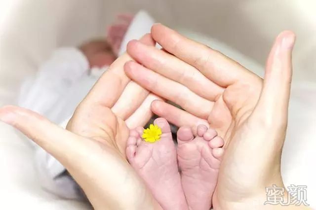 借卵试管助孕方式IVF