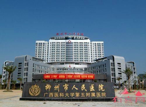 借卵试管医保报销的范围