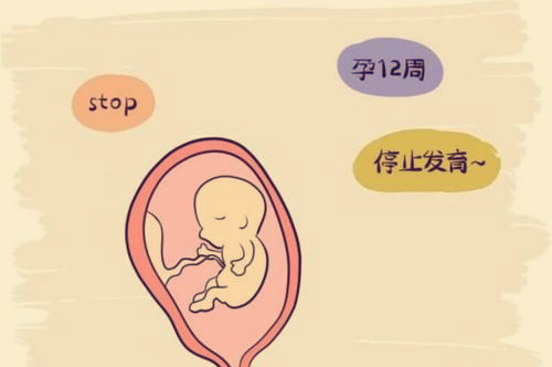 试管促排期间雌二醇多少正常
