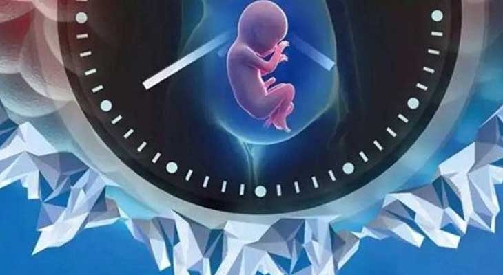 上海市煤炭医院生殖科是热门助孕科室,技术、成功率都是杠杠的!