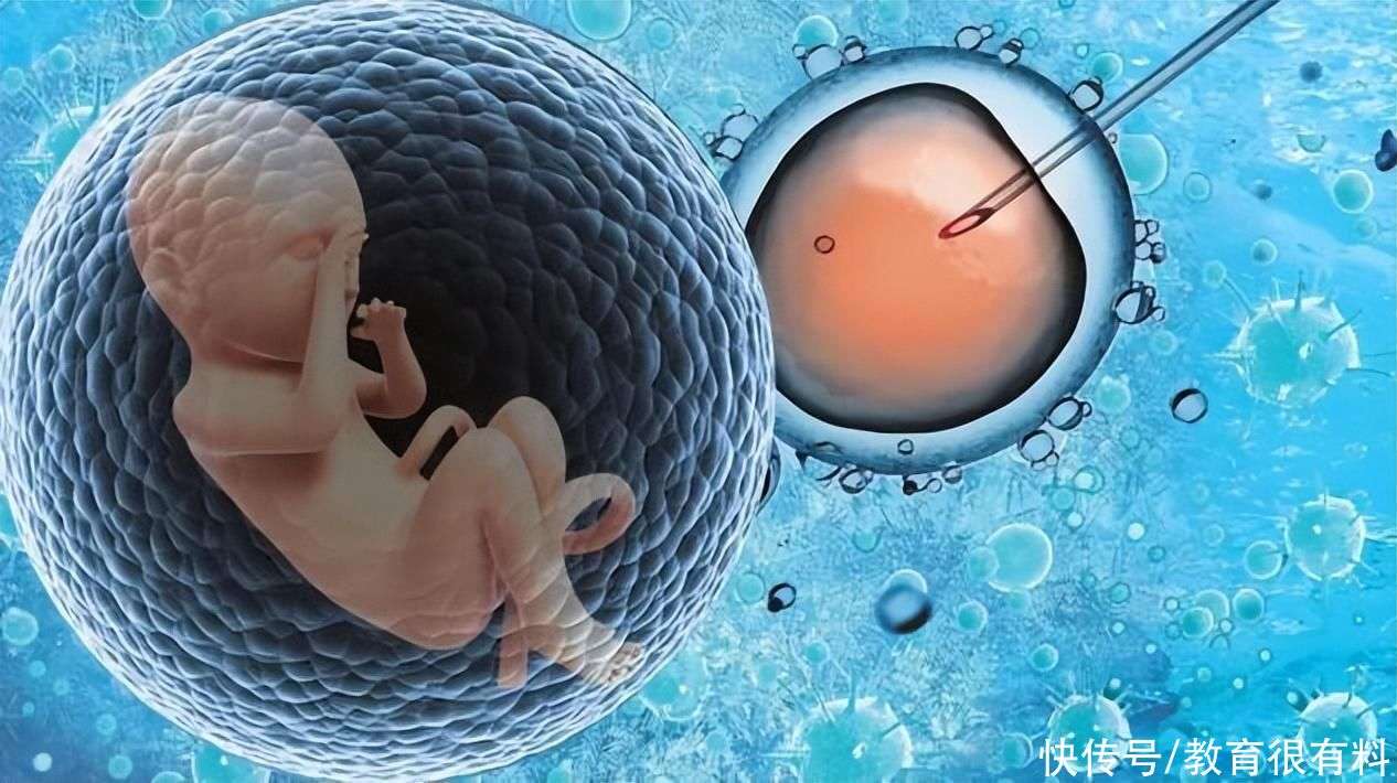 如何找人试管代怀移植成功的症状(人工受孕和试管代怀什么费用哪个好)