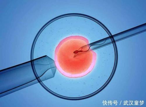 上海哪家医院能试管代生价格+上海哪家医院能做第3代试管代怀流程详解