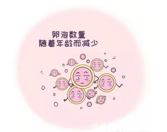 第三代供卵包生男孩成功率75%+带你走进上海LRC生殖中心