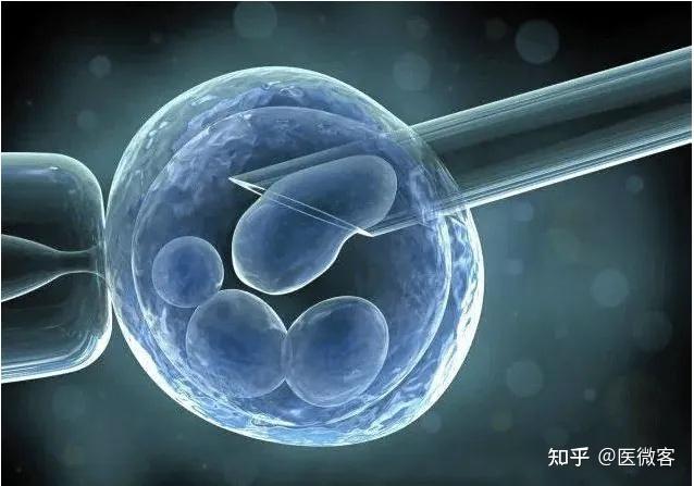 上海四院医院供卵试管代怀指南婴儿单周期费用多少（成功率高吗？）