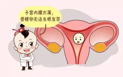 试管代怀妈妈QQ是什么情况（三代试管三代代怀是什么意思啊）