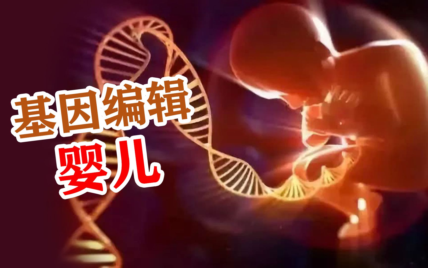上海市市最诚信的试管代怀多少钱