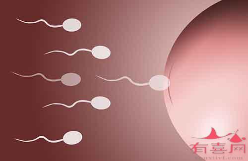 56岁没月经想试管代生孩子哪家好可以吗（要怀孕“供卵”或是唯一希望）