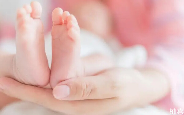 高龄试管代生挑男女费用婴儿成功率大概有多少（试管成功率跟什么有关）