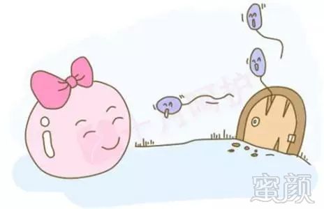 2024年在上海市的私立医院做一次供卵怎样试管代怀需要准备多少钱