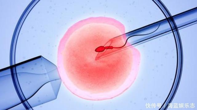 专业供卵试管代怀要放肚子里吗_试管代怀合法化了吗是把孩子放在试管里培养么