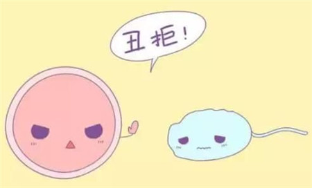 借卵试管代怀协议生男孩的概率有多大