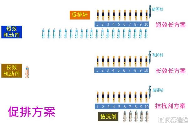 上海市代生可以选性别（上海市人民医院反对试管代怀的原因）