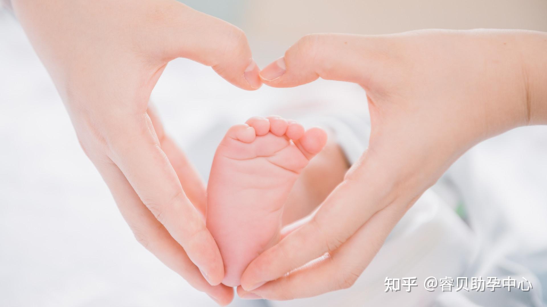 上海市生殖妇产医院试管（上海代怀试管要多少费用医院）