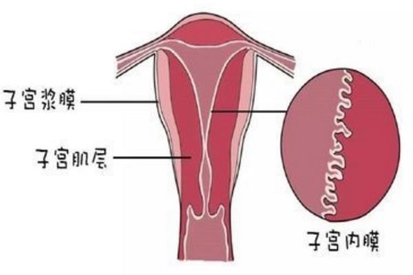 2024解放军202助孕机构咨询电话婴儿费用一览,附试管医生推荐