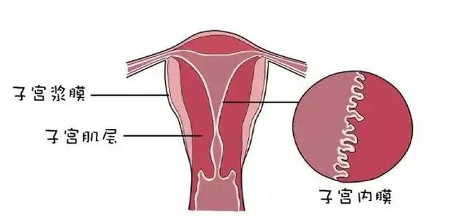 揭密怀男孩、生女儿与胎梦的关联