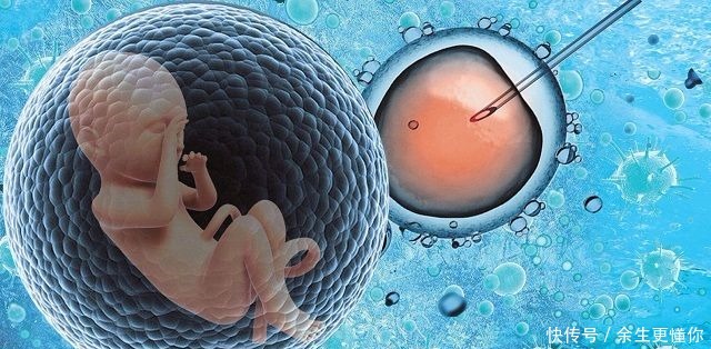 患有巧克力囊肿可以到上海市哪些医院供卵代怀机构医院+